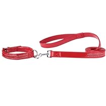 "Glitzy Sheen" Double-row Embellished Rhinestone Dog Leash - Medium, Scarlet Red
