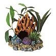 Coral Floral Cave with Plants