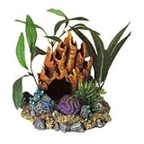 Coral Floral Cave with Plants
