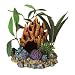 Coral Floral Cave with Plants
