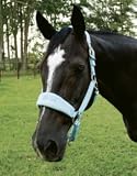 Lami-Cell Sparkling Breakaway Halter