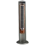 Lasko 2554 42 Wind Curve Fan With Remote