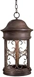 Sage Ridge 20 High Dark Sky Outdoor Hanging Light