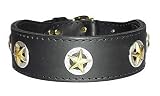 2 Ranger Collar