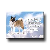 Akita True Friend Fridge Magnet