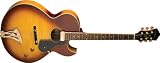 Washburn Jazz Series J4HBK Electric Guitar