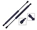 2 Pieces (Set) Tuff Support Hood Lift Supports 2003 To 2007 Nissan Murano