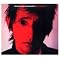 Auf den Spuren von Rowland S. Howard (1. Teil 2009-1987)
