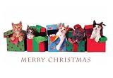 Christmas Wrapping Kittens Christmas Card - Kitten And Cats Holiday Greeting Card