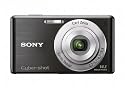 Sony DSCW530 Cyber-shot Digital Still Camera - Black (14.1MP, 4x Optical Zoom) 2.7 inch LCD