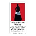 Ein Engel �ber deinem Grab: Ein Fall f�r Tamara Hayle