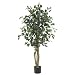 4 Ft Ficus Silk Tree