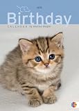 Produkt-Bild: Katzenkinder Geburtstagskalender: Jahresunabh&auml;ngig