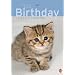 Katzenkinder Geburtstagskalender: Jahresunabh�ngig
