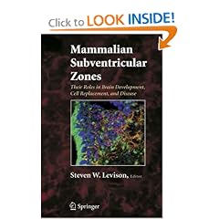Mammalian Subventricular Zones: Their Roles in Brain Development, Cell Replacement, and... by Steve Levison