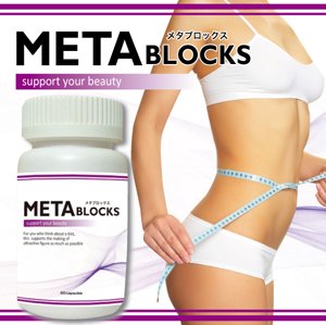 メタブロックス