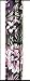 Essential Medical Supply Spring Garden Collection Wood Derby Handle Cane, Lilac