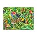 Rainforest 300-Piece Puzzle