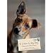 A Letter to My Dog: Notes to Our Best Friends