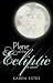 Plane of the Ecliptic by Karen Estes