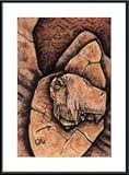 Bison Fragment by Cecilia Henle 20.00X29.00 Framed with Black Metal Frame
