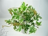 33cm Artificial Silk Foliage Ivy Leaf Bush (Variegated) from GT Decorations