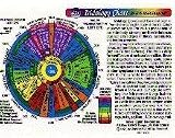 Inner Light Resources Rainbow Cards & Charts Series - Iridology Chart (rainbow coded) - Original Laminated Charts