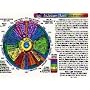 Inner Light Resources Rainbow Cards & Charts Series - Iridology Chart (rainbow coded) - Original Laminated Charts