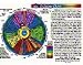 Inner Light Resources Rainbow Cards & Charts Series - Iridology Chart (rainbow coded) - Original Laminated Charts