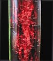 2 Meter Giant Active Bubble Column (78")