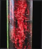 2 Meter Giant Active Bubble Column (78)