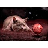Leinwandbild 100 x 70 cm - "Die Katze schaut zur Maus auf dem roten Mars" von teddynash - auch in anderen Gr��en und als Poster erh�ltlichvon "POSTERLOUNGE"