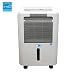 Whynter RPD-651W Energy Star 65 Pint Portable Dehumidifier