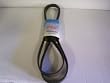 Dayco Serpentine Belt