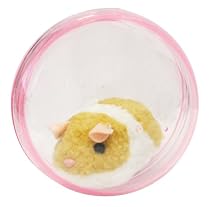 Running Hamster