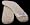 Sheepskin