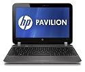 HP DM1-4010US 11.6" Notebook PC (Ash Black)