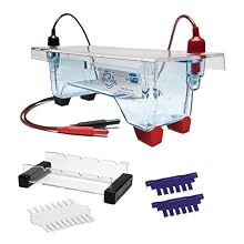 Edvotek M12 Electrophoresis Apparatus, 2 Lab Groups Sample, 7cm Length x 14cm Width Gel Trays