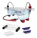 Edvotek M12 Electrophoresis Apparatus, 2 Lab Groups Sample, 7cm Length x 14cm Width Gel Trays