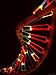 Representation of Segment of DNA Molecule Whose Order Spells Out Exact Set of Genetic Instructions Photographic Poster Print by Fritz Goro, 12x16