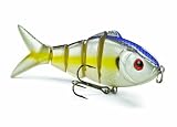 Matzuo Zen Quinate Fishing Bait