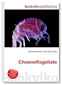 Choanoflagellate
