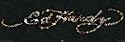 Ed Hardy - Unterschrift Midi-Poster (91 x 30cm)
