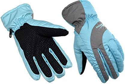 Pretty May Women's Windproof Skidproof Thermal Gloves for Skiing,Iceskating,Snowboarding Outdoor Sports Large Blue