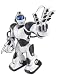 Toys : Robosapien V2