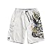Apparel : QUIKSILVER HAUNTEDNESS 22" BOARDSHORT