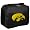 Iowa Hawkeyes