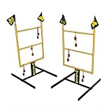 Wild Sales University of Michigan Tailgate Golf Toss Game
