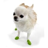 Pawz ポウズドッグブーツ 12個セット TINYサイズ