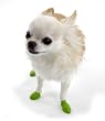 Pawz Green Water-Proof Dog Boot, Tiny, Up to 1-Inch